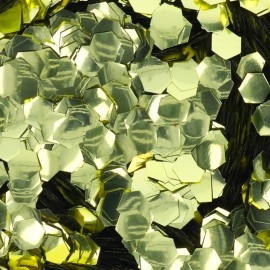 Paillettes biodégadables Eco Vert clair - 10ml