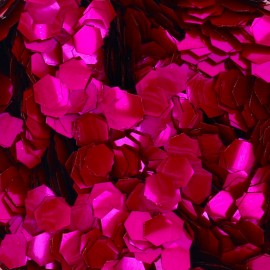 Paillettes biodégadables Eco Rose foncé - 10ml