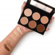 Paradise Palette 6-Farben Celebre Pro-HD Conceal-It Skin / Haut 