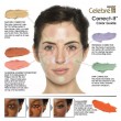 Paradise Palette 6-Farben Celebre Pro-HD Conceal-It Korrektor /Corrector 