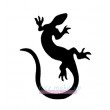 14900 Mini lézard
