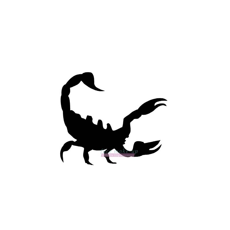 15600 Skorpion Gefahr
