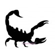 15600 Skorpion Gefahr