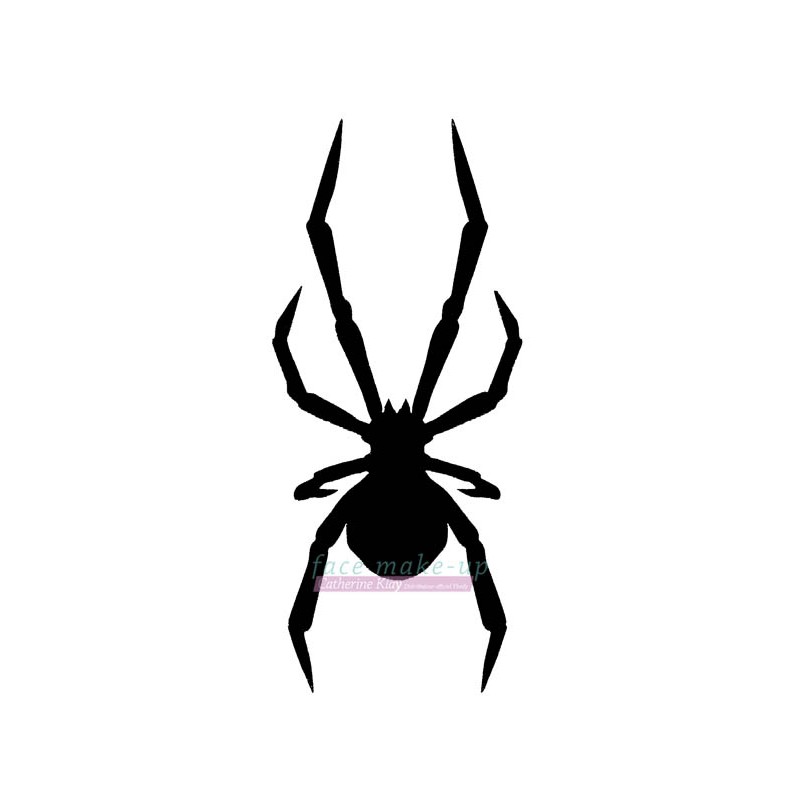 16101 Schwarze Witwe