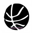 48900 Korbball