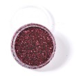 Paillettes pour tattoo et maquillages - Prune - 5ml