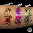 VIVID Glitzerbalsam in einem 10g-Tiegel - Thistle