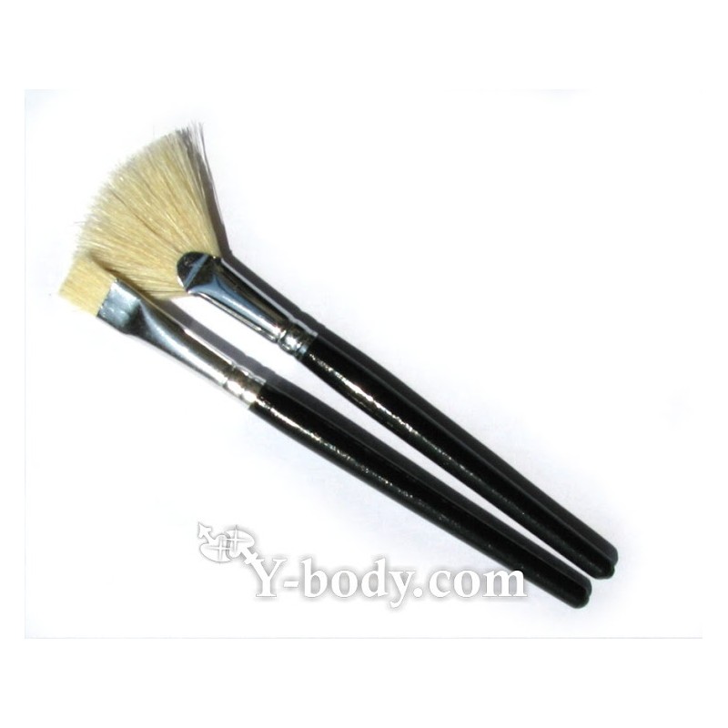 Set aus 2 Pinseln