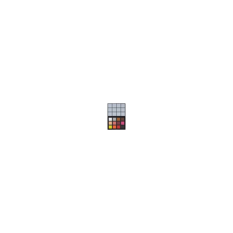 Optillusions FX -12 Colour Face & BodyArt, Poudre compacte, 12 teintes. Pour la création d\'illusions 3D