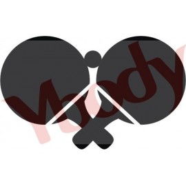 48500 Ping Pong