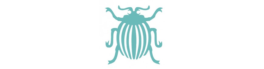 Insekten - Spinnen