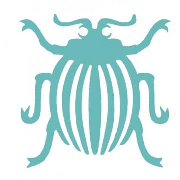 Insekten - Spinnen