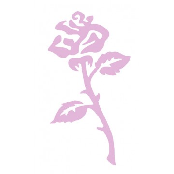 Blumen - Pflanzen